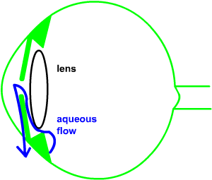 narrow agle...normal aqueous flow
