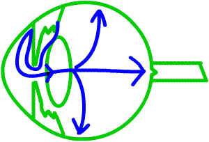 when the drainage channel is blocked, aqueous flow is directed to the back of the eye pressure rises