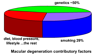 pie chart illustrating factors contributing to ARMD
