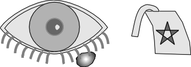 diagram of chalazion