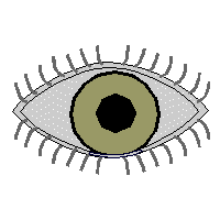 animation of cataract position