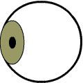 an eye turning more