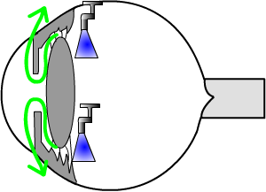 aqueous fluid is made in the ciliary body