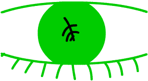 dendritic ulcer, diagram