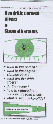a leaflet explaining herpes simplex keratitis