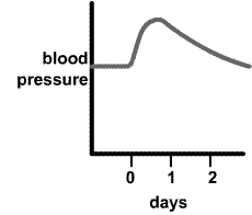 after 8 units of alocohol blood pressure rises for 2 days